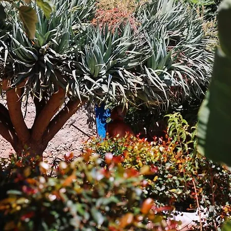 Appartamento Old Fisherman's Corner 16 - Centro Old Town *